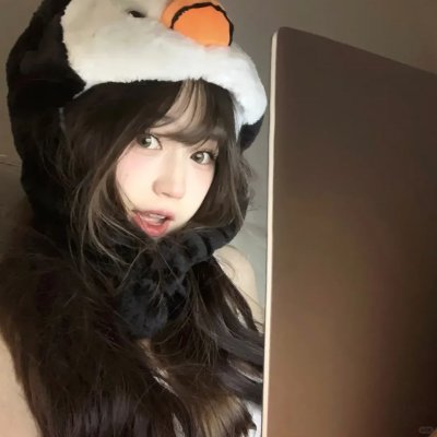 大毛狗